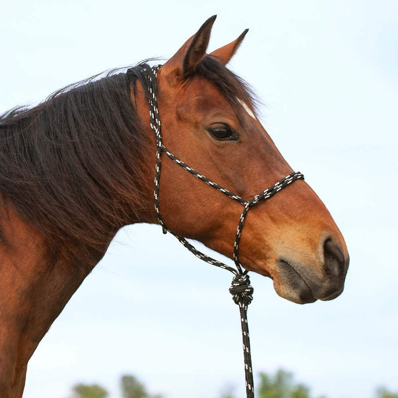 Cashel Company Knotless Rope Halter w/ 9ft lead