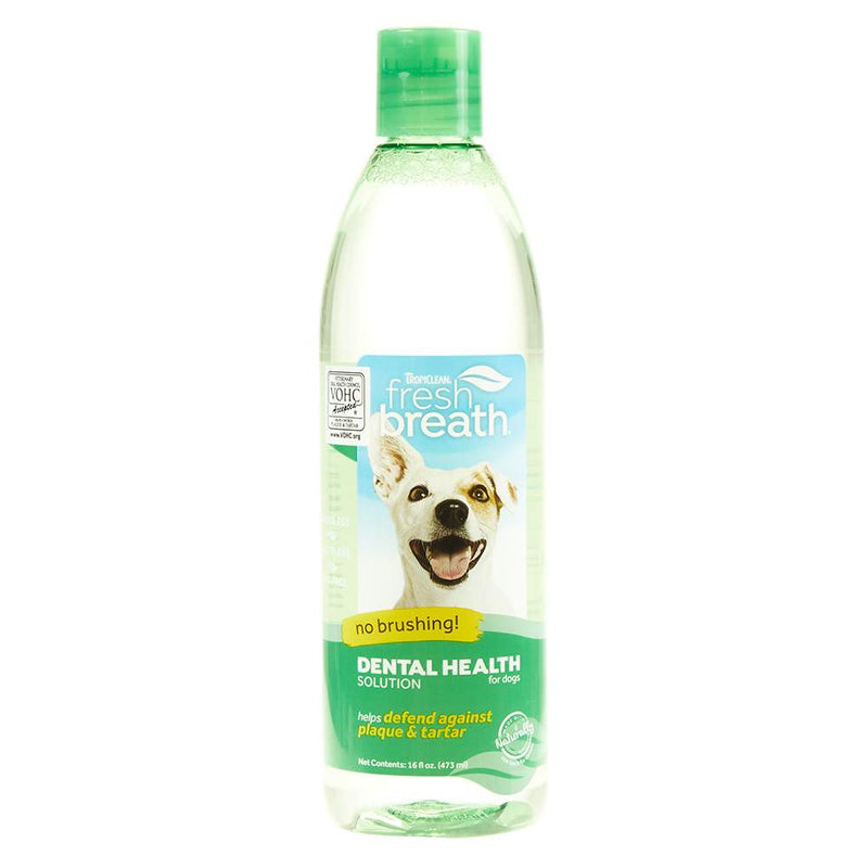 Fresh Breath Oral Care