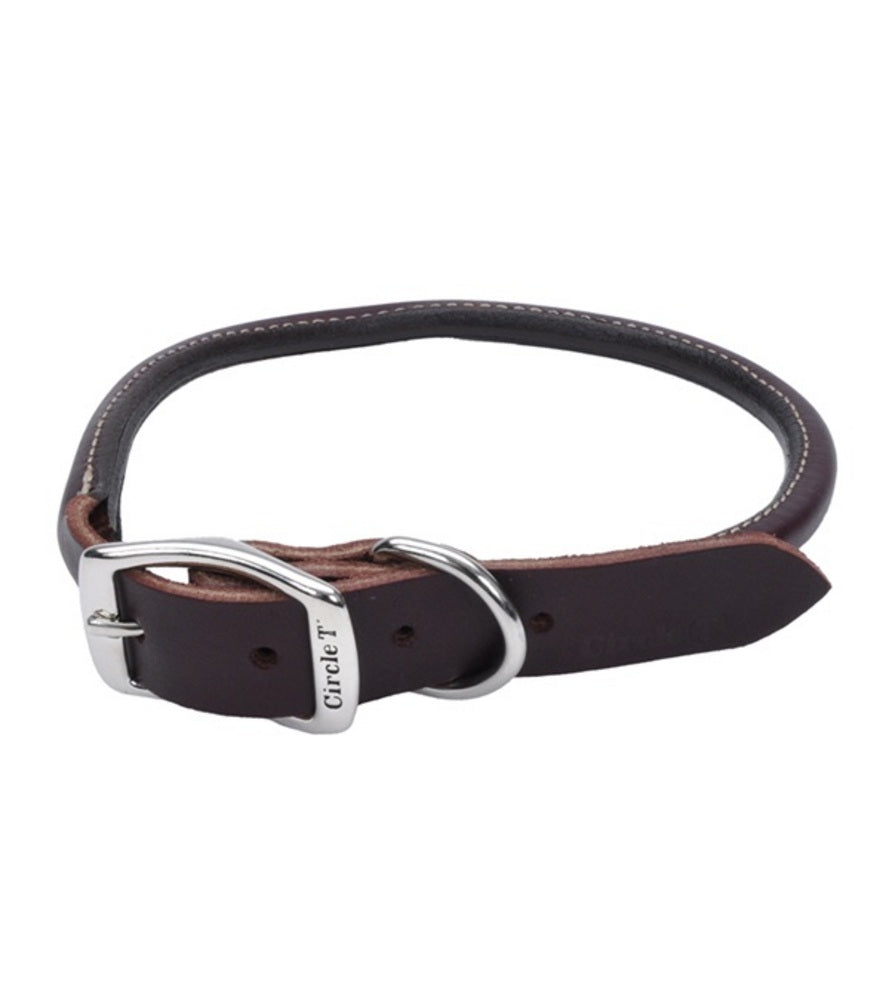 Western & Nylon Dog Collars