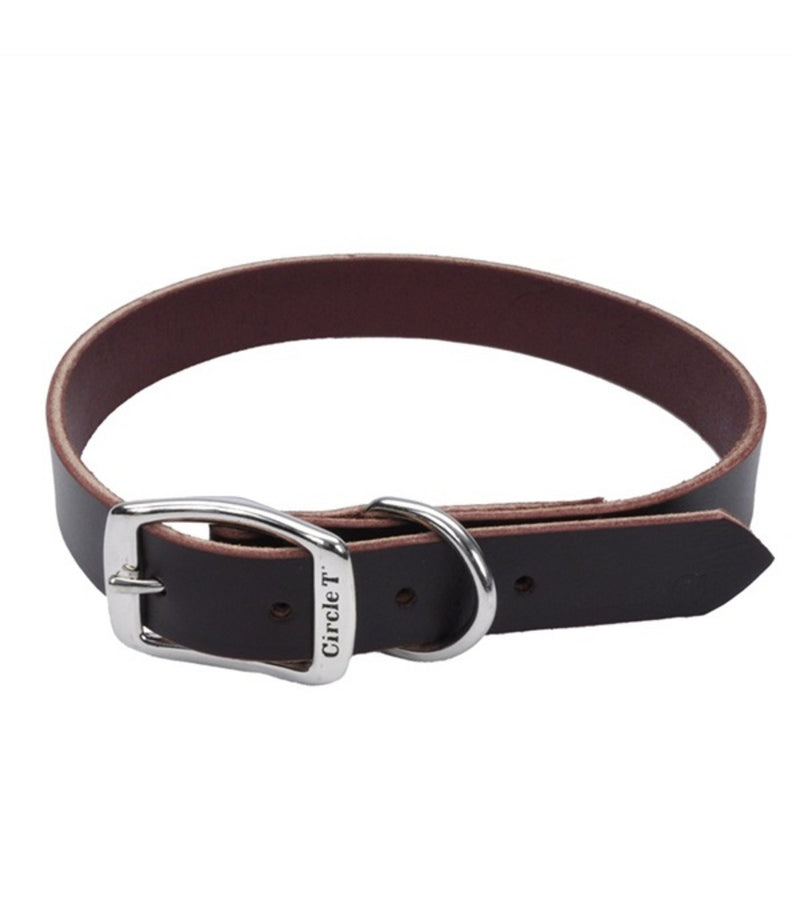 Latigo 1" Flat Dog Collar 22"-24"