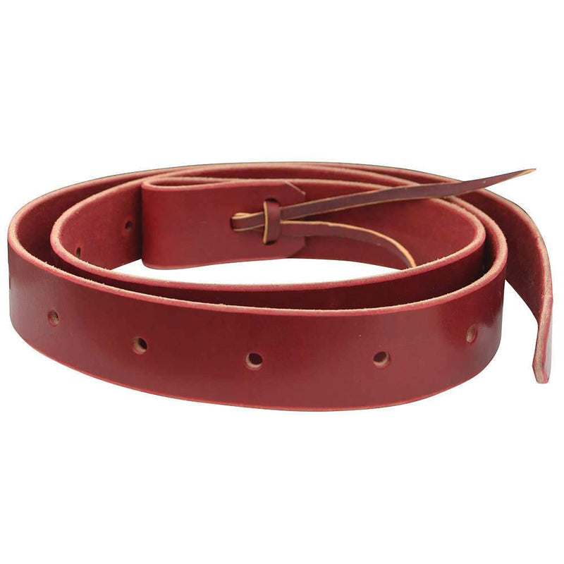Professional's Ultimate Cinch Tie Strap