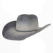 50X Blue Roan 4 1/2" Brim Felt Cowboy Hat