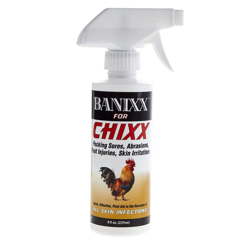 for Chixx Spray
