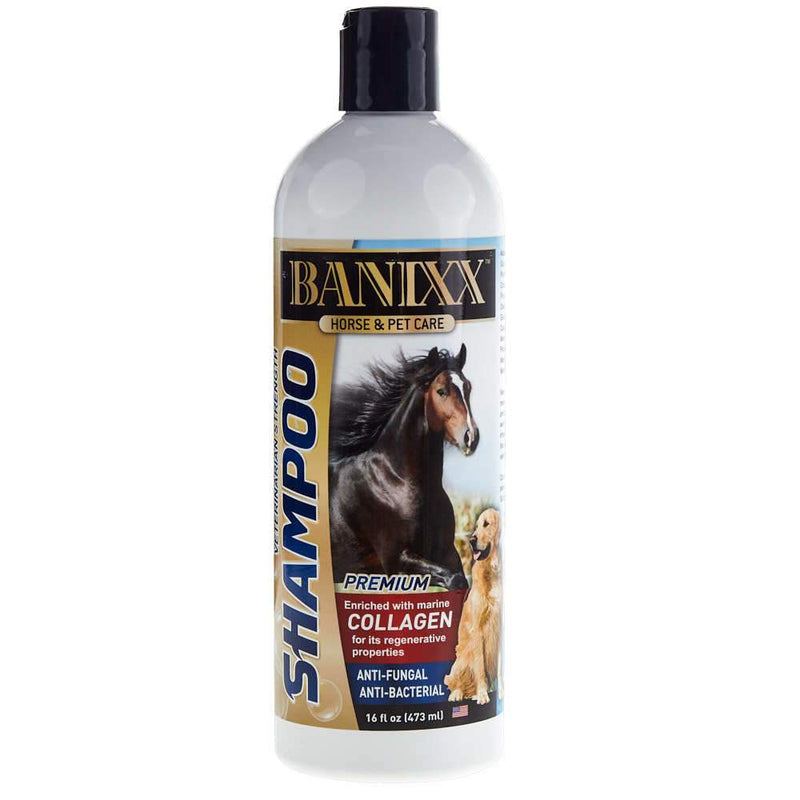 Medicated Shampoo