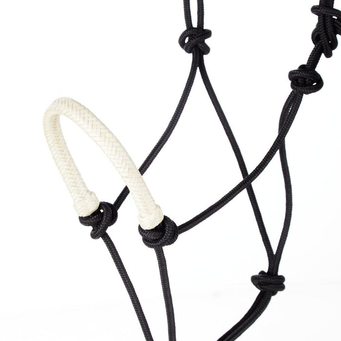 Braided Rawhide Noseband Rope Halter with 8 foot Lead Rope