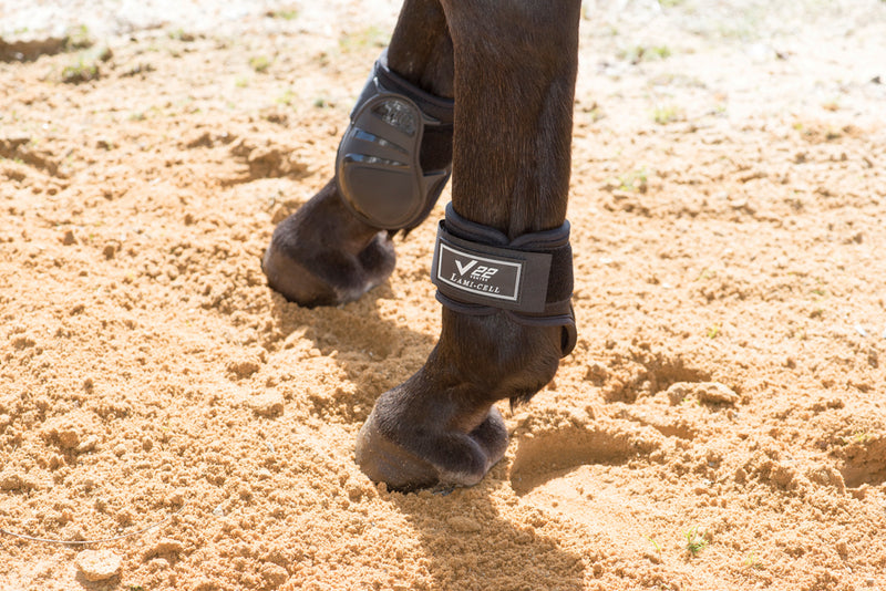 Ventex 22 Pro Fetlock Boots