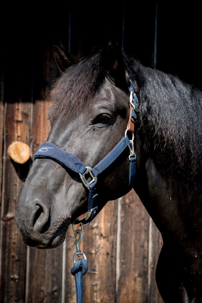 Padded Fleece Halter