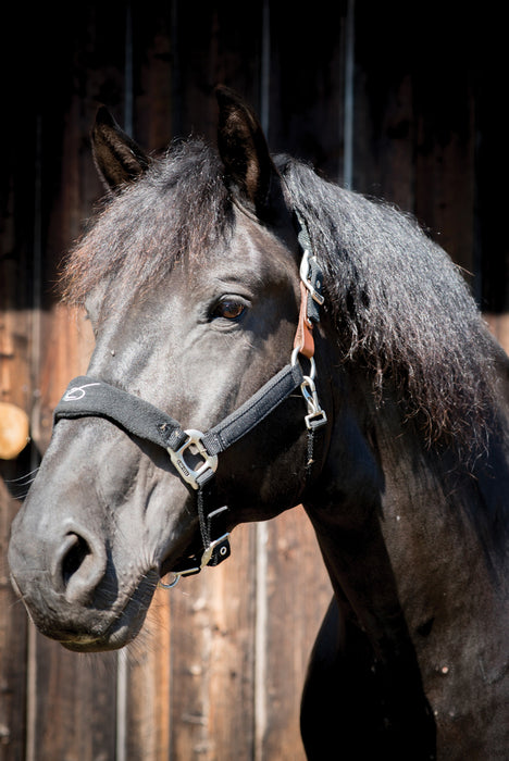 Padded Fleece Horse Halter
