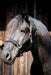 Padded Fleece Horse Halter