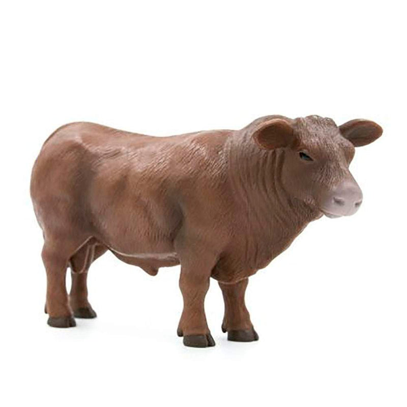 Red Angus Bull
