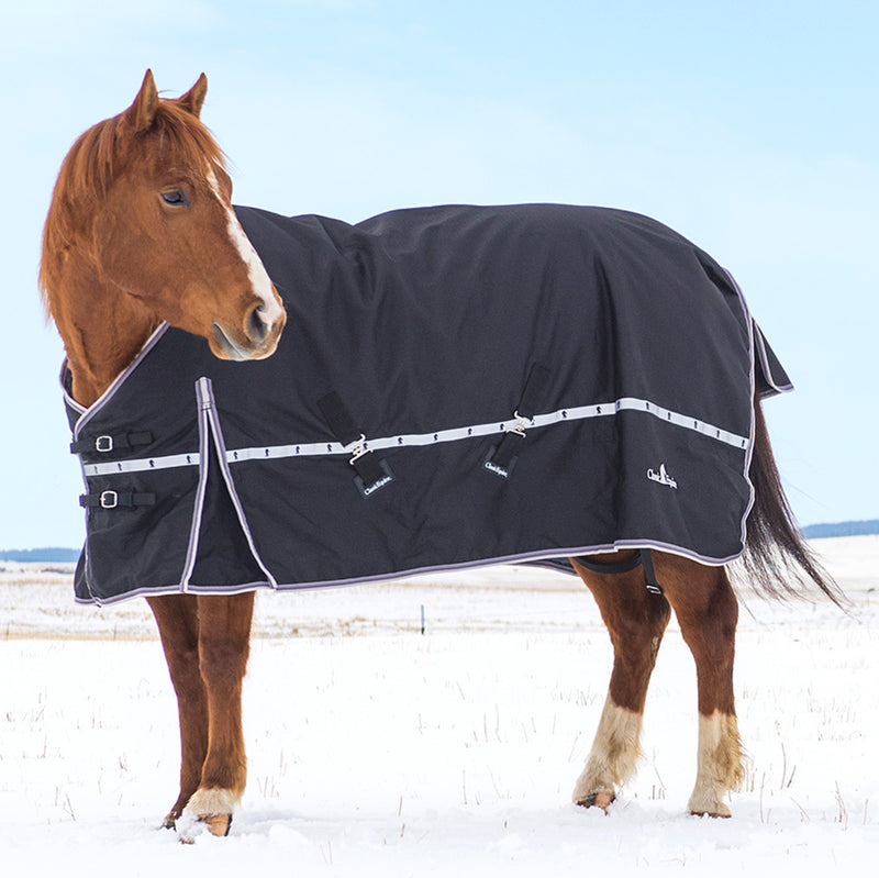 10K Cross Trainer Horse Blanket