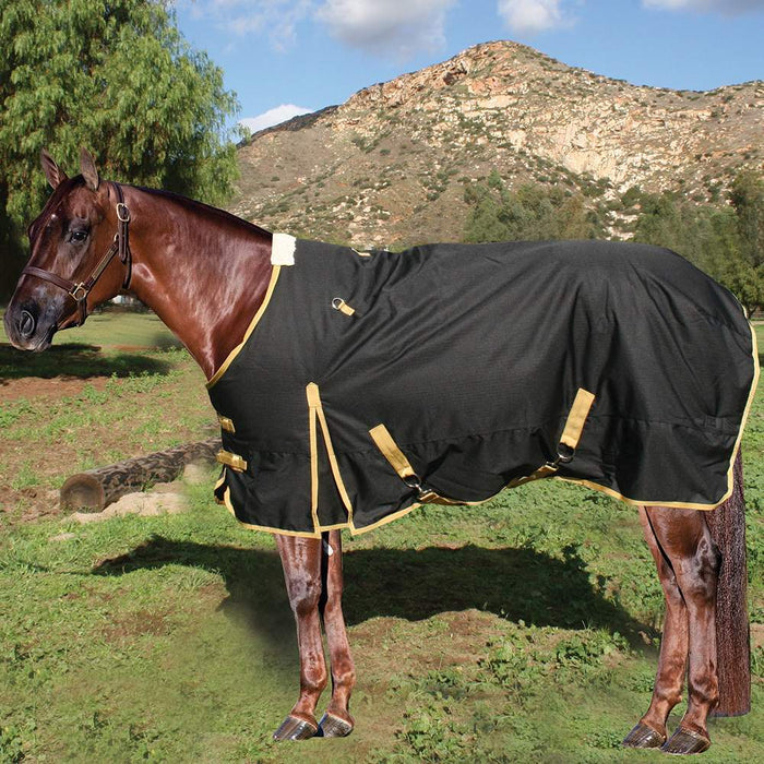 Professional's Black Equisential 600D Winter Blanket