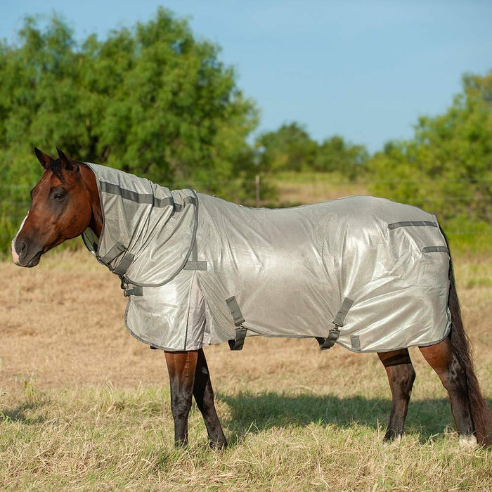 Economy Horse Fly Sheet with Neck Guard