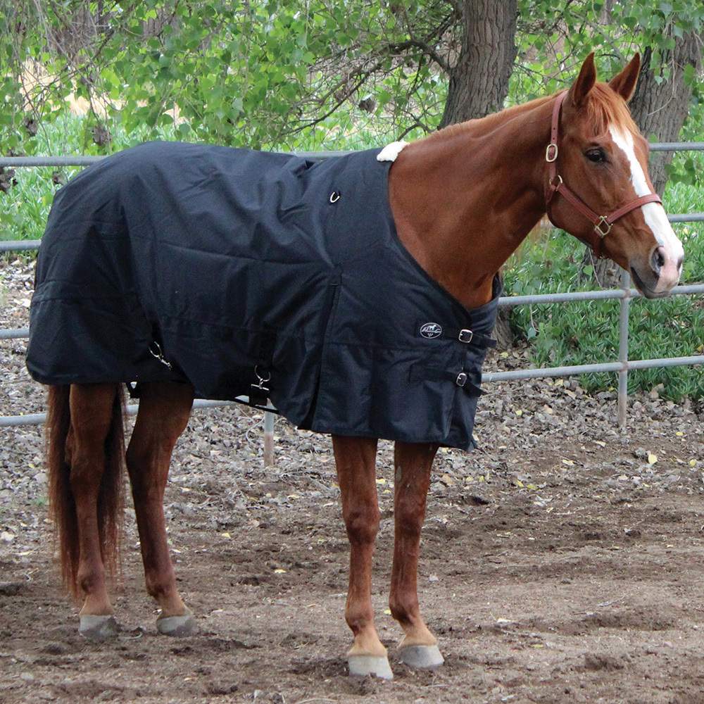 Professional's Choice Horse Blankets