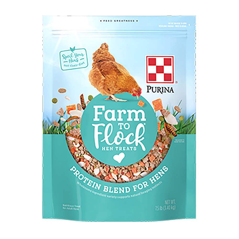 Treats & Toys for Chickens