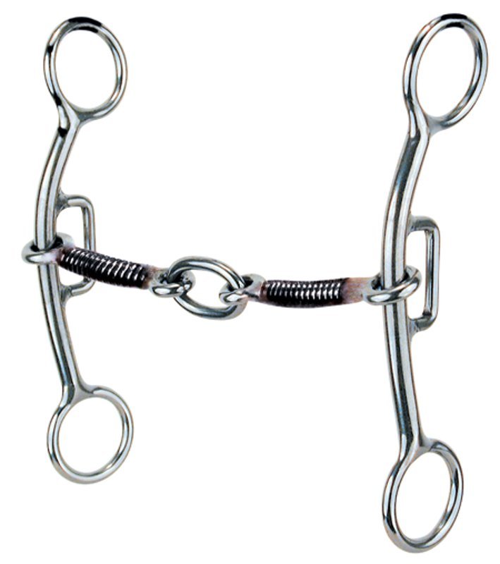Bill and a Hackamore – Sharon Camarillo/Rafter C