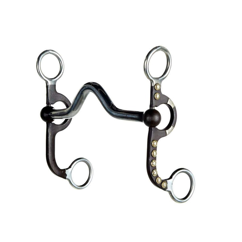 Medium Port Bit with Silver Dots and Bars