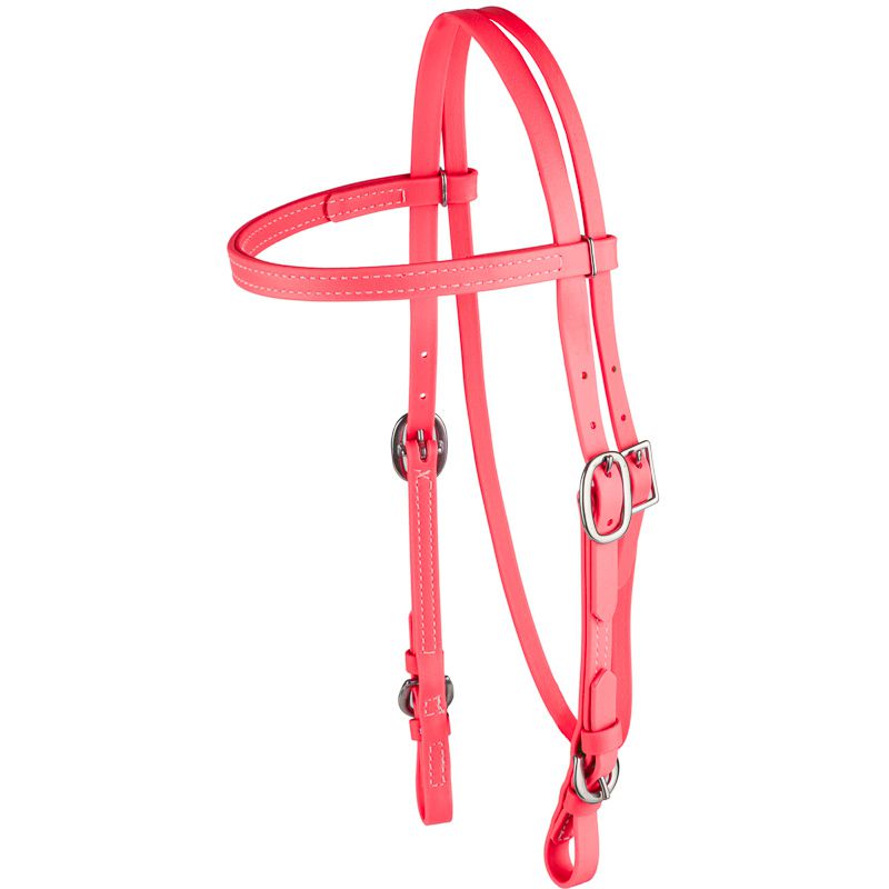 Biothane Browband Headstall