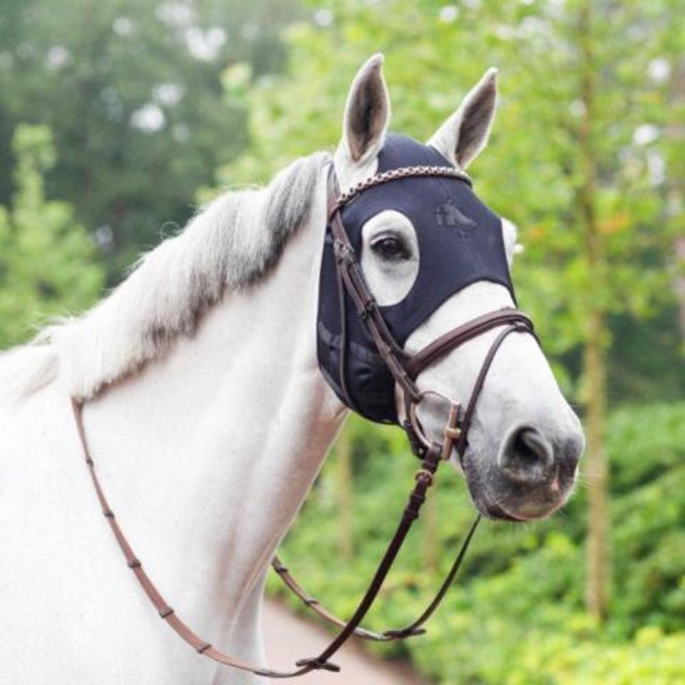 Fenwick Equestrian
