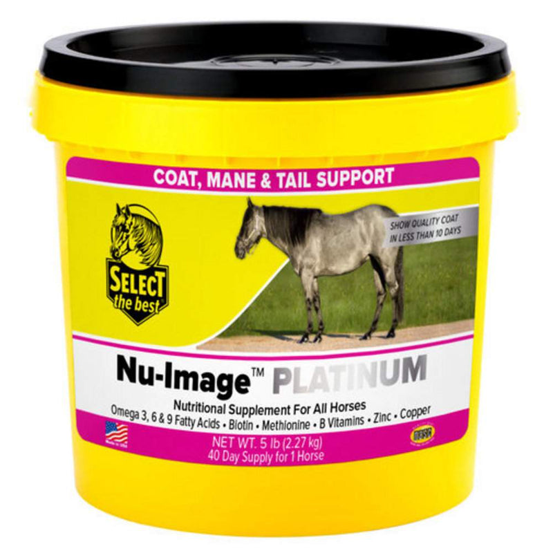 Platinum Nu-Image