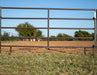 Chute Help 12' 5 Rail Arena Panel (16ga)