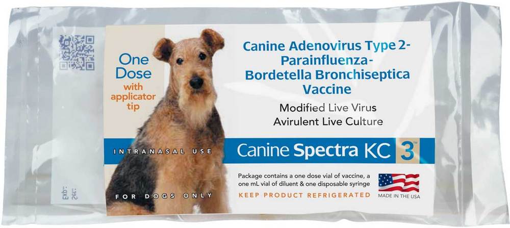 Do It Yourself Dog Vaccinations
