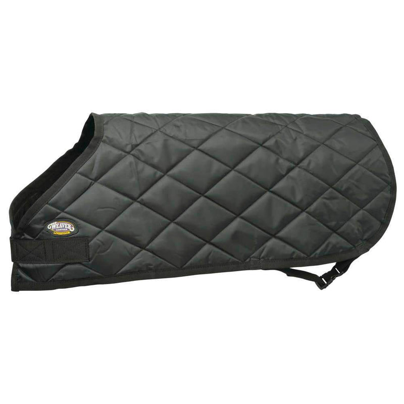 Calf Blanket
