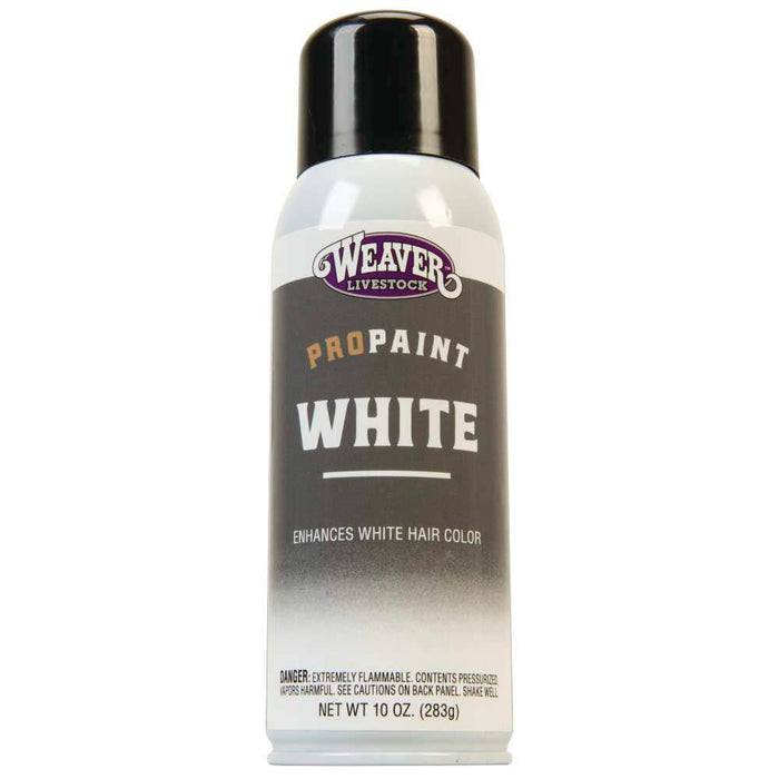 Leather Stierwalt ProTouch White Touch Up Paint