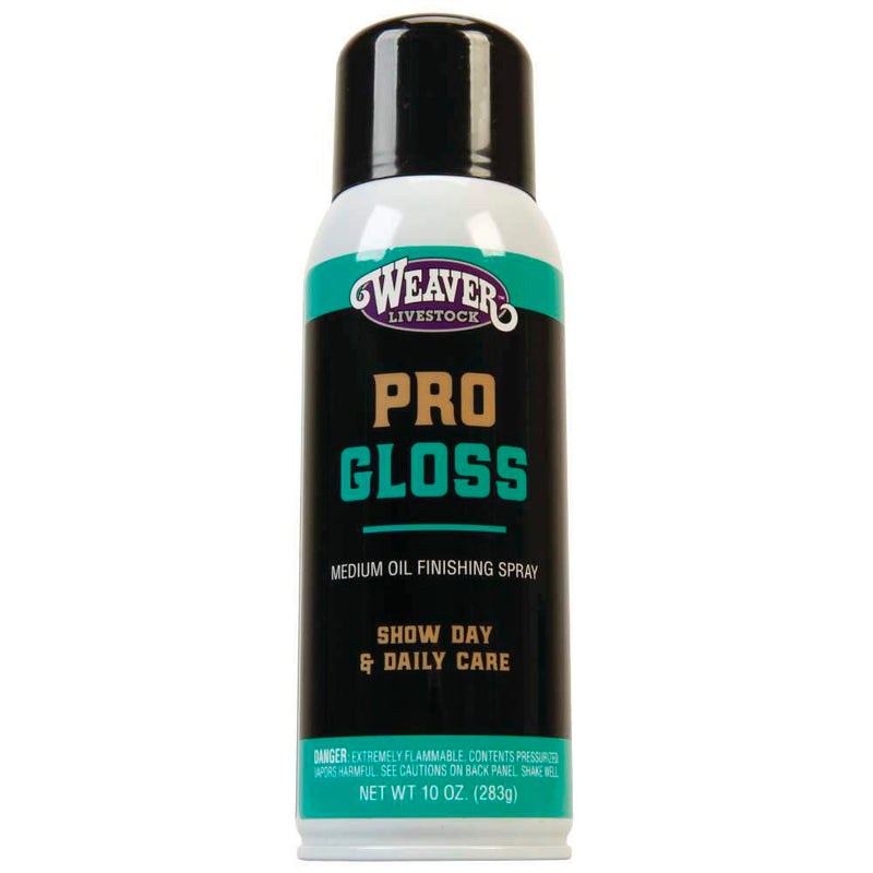 Leather Stierwalt ProGloss Finishing Spray