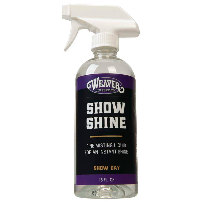 Leather Show Shine