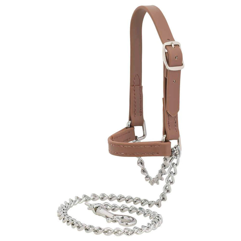 Brahma Webb Goat Halter