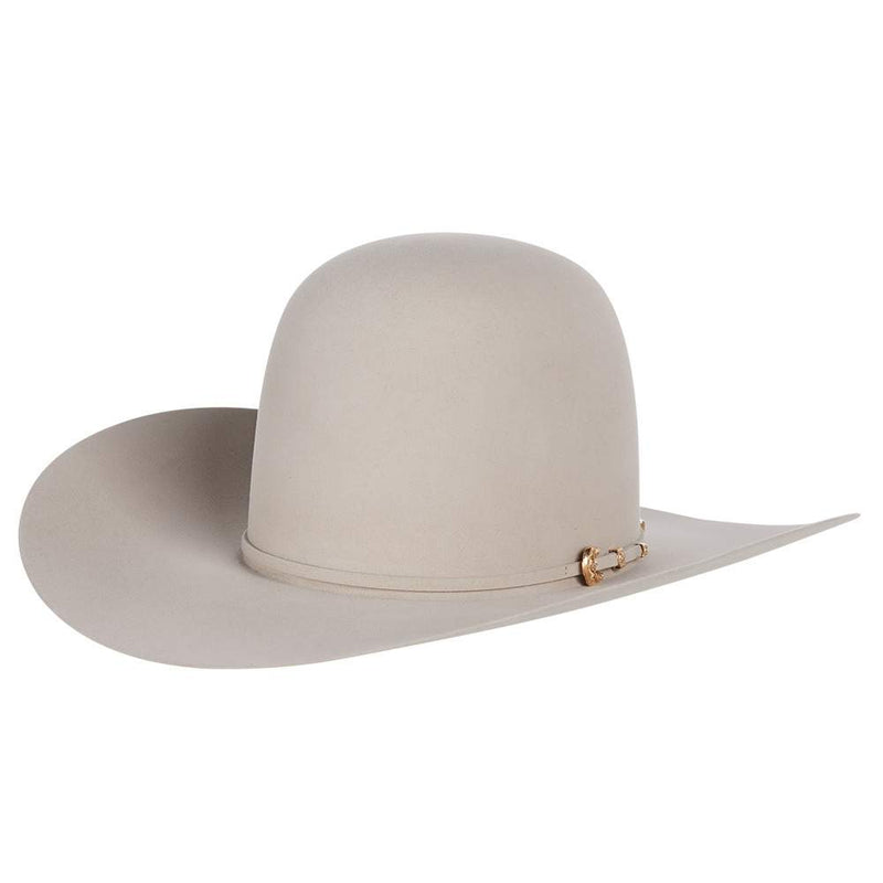 Co 100X Silver Belly 4 1/4" Brim Felt Hat