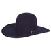 60X Sapphire 4 1/2" Brim Felt Cowboy Hat