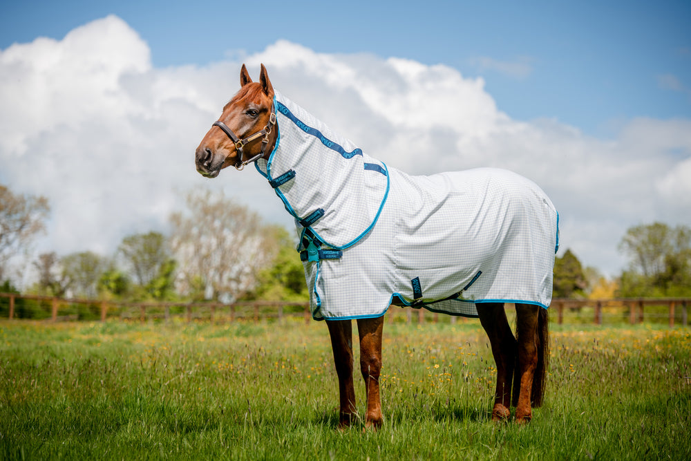 Horseware Amigo Aussie Allrounder | HorSeven
