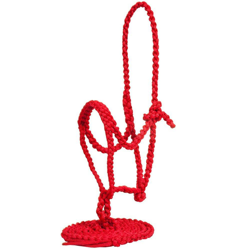 Mustang Flat Plaited Noseband Halter