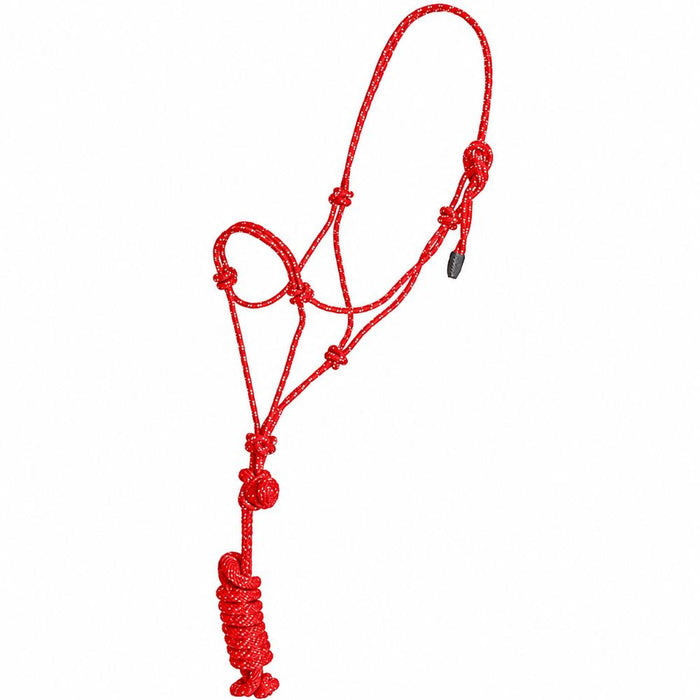 Pony/Colt Rope Halter and Lead