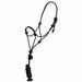 Pony/Colt Rope Halter and Lead