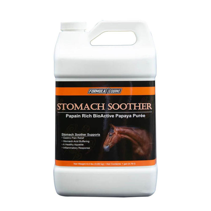 Papaya Stomach Soother Gallon