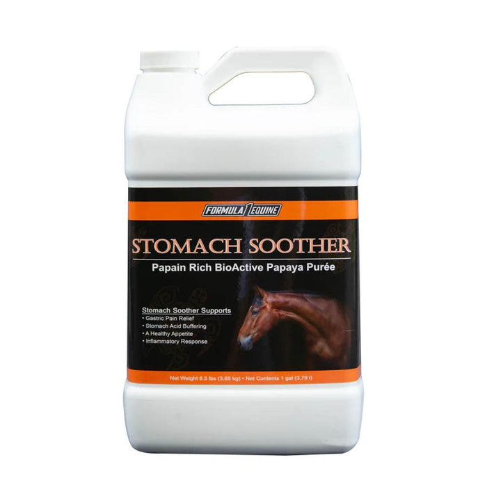 Papaya Stomach Soother Gallon