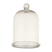 Glass Cloche with Plate Set