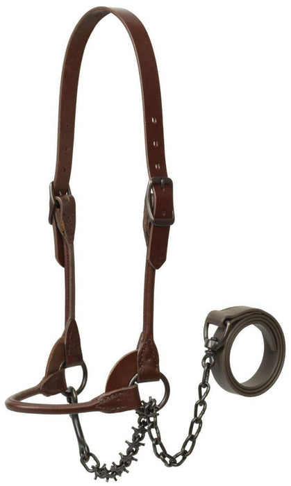 Weaver Livestock Brown Bombshell Show Halter