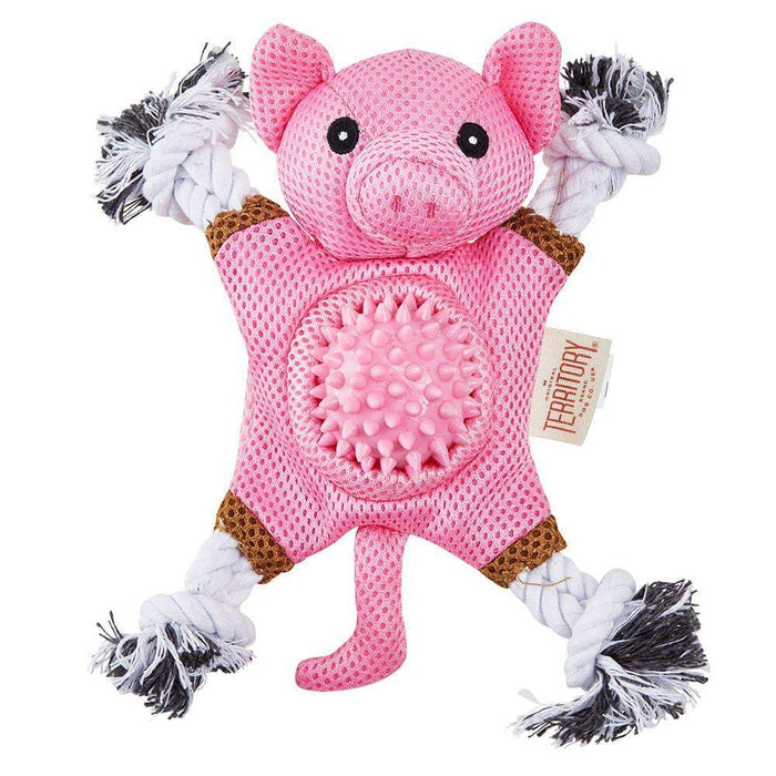 Farm Friends 2-in-1 Pig Toy