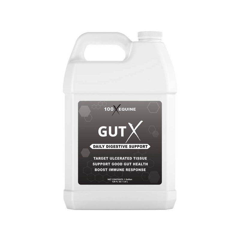 100X Equine Gut X