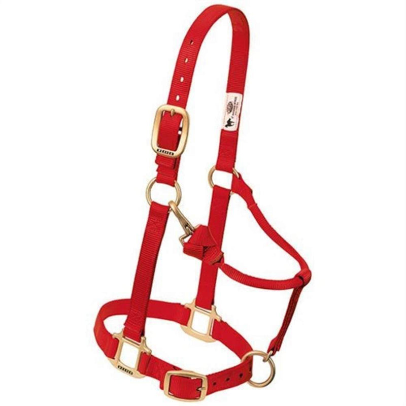 Adjustable Nylon Weanling Halter