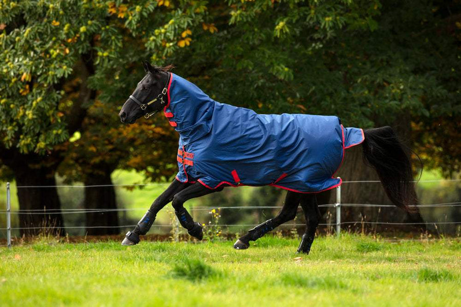 Horseware Ireland Mio All-In-One Turnout Sheet | Horseware Ireland