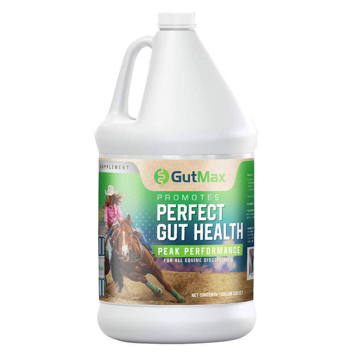 1197 Health GutMax