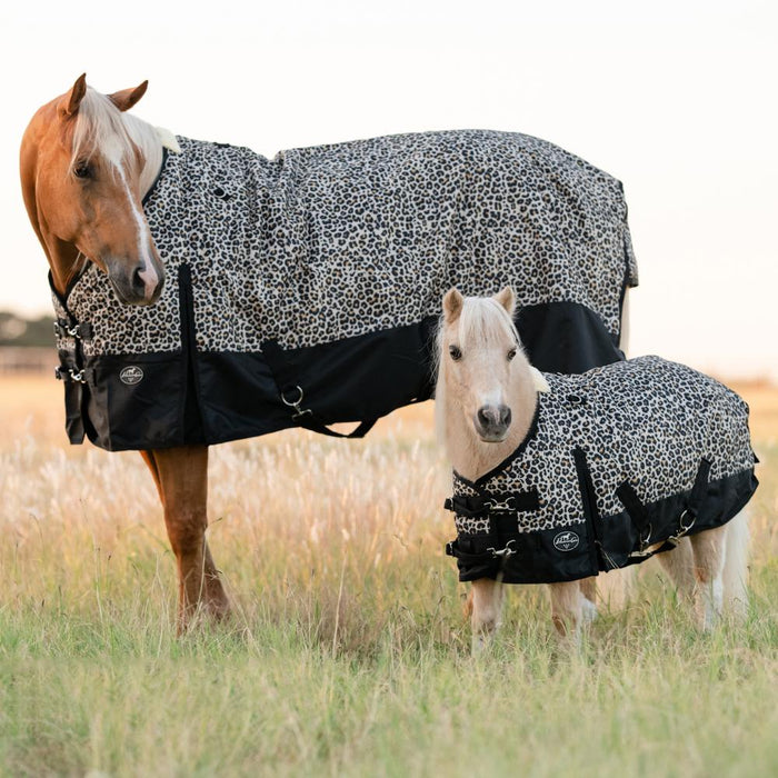 Professional's Cheetah Pony Equisential 600D Winter Blanket