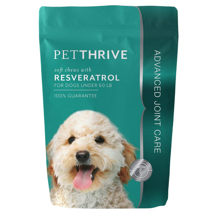 Pet for Dogs under 60lb