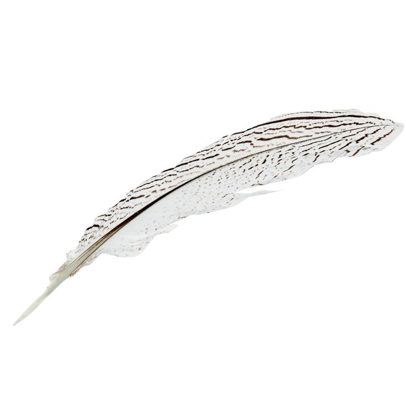 White and Black Feather