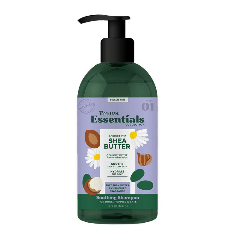 Essentials Shea Butter Shampoo